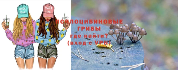 ГАЛЛЮЦИНОГЕННЫЕ ГРИБЫ Нея