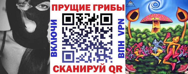 Псилоцибиновые грибы мухоморы  где купить наркотик  Козловка 
